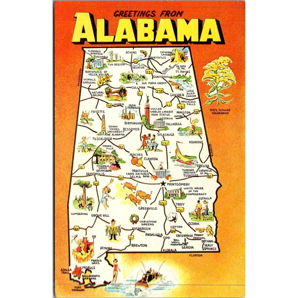 Greetings From Alabama The Cotton State Vintage Postcard SP17-27